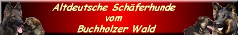 bannerhunde1